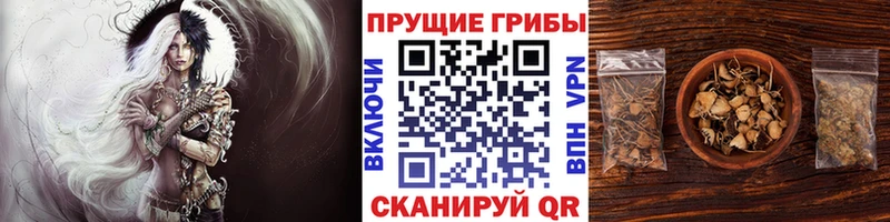 сайты даркнета Telegram как найти закладки Липецк Галлюциногенные грибы мухоморы